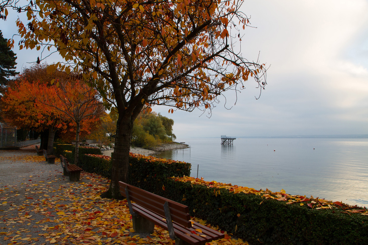 Meersburg