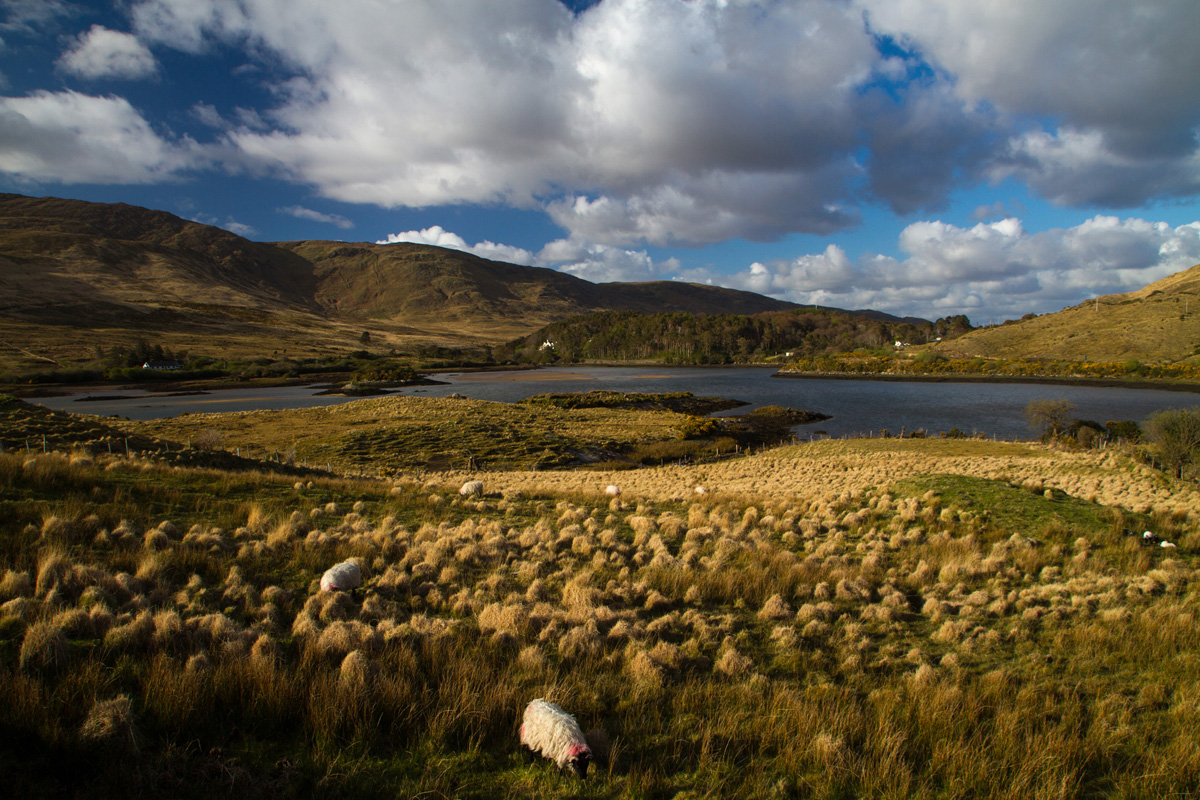 Connemara