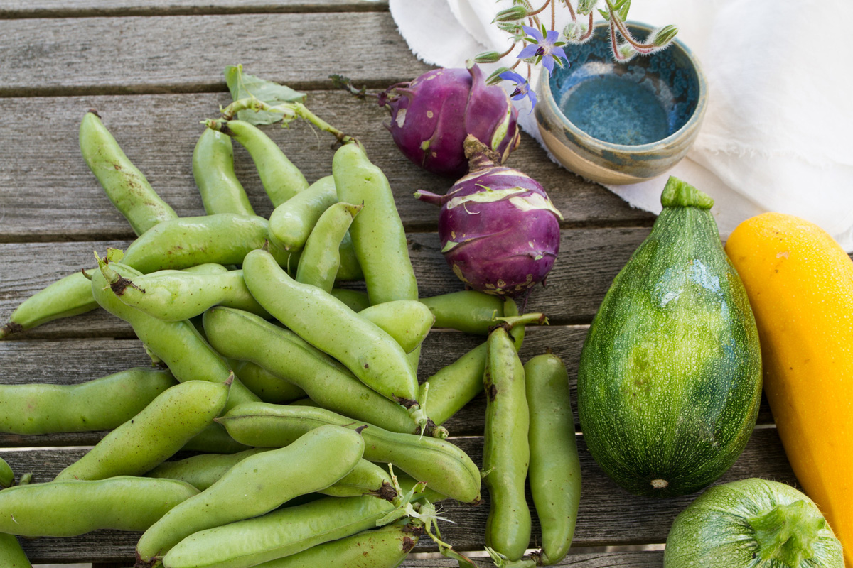 Garden bounty