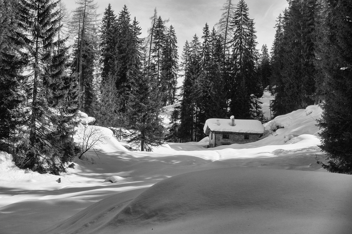 B&W Wednesday: Cabin in the Woods