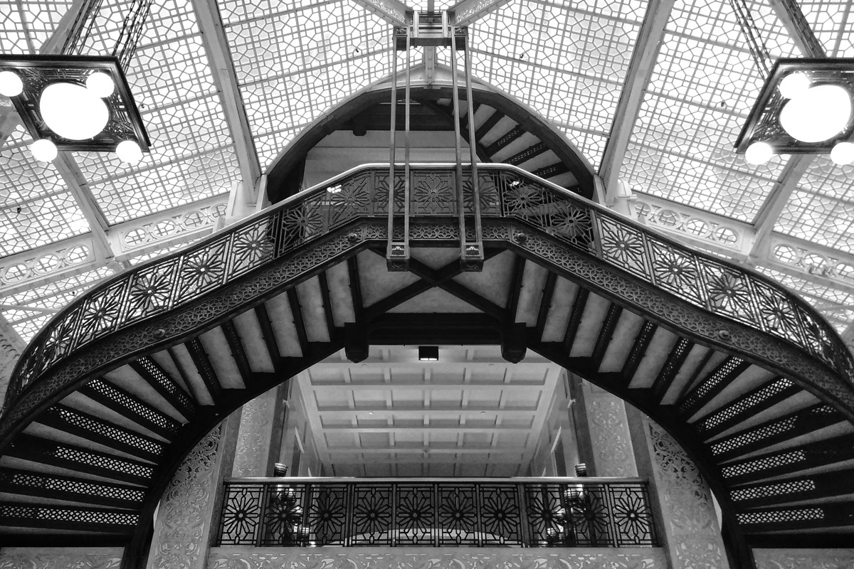 B&W Wednesday: The Rookery
