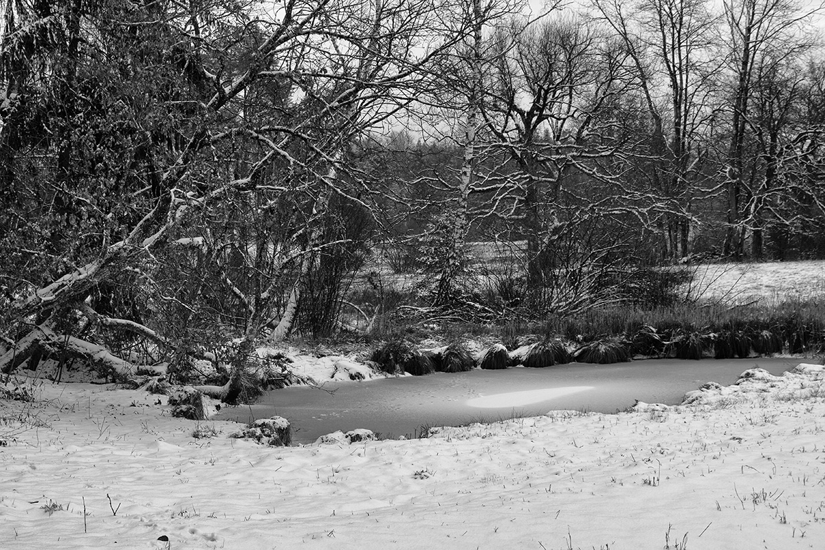 winter_oberland_bw