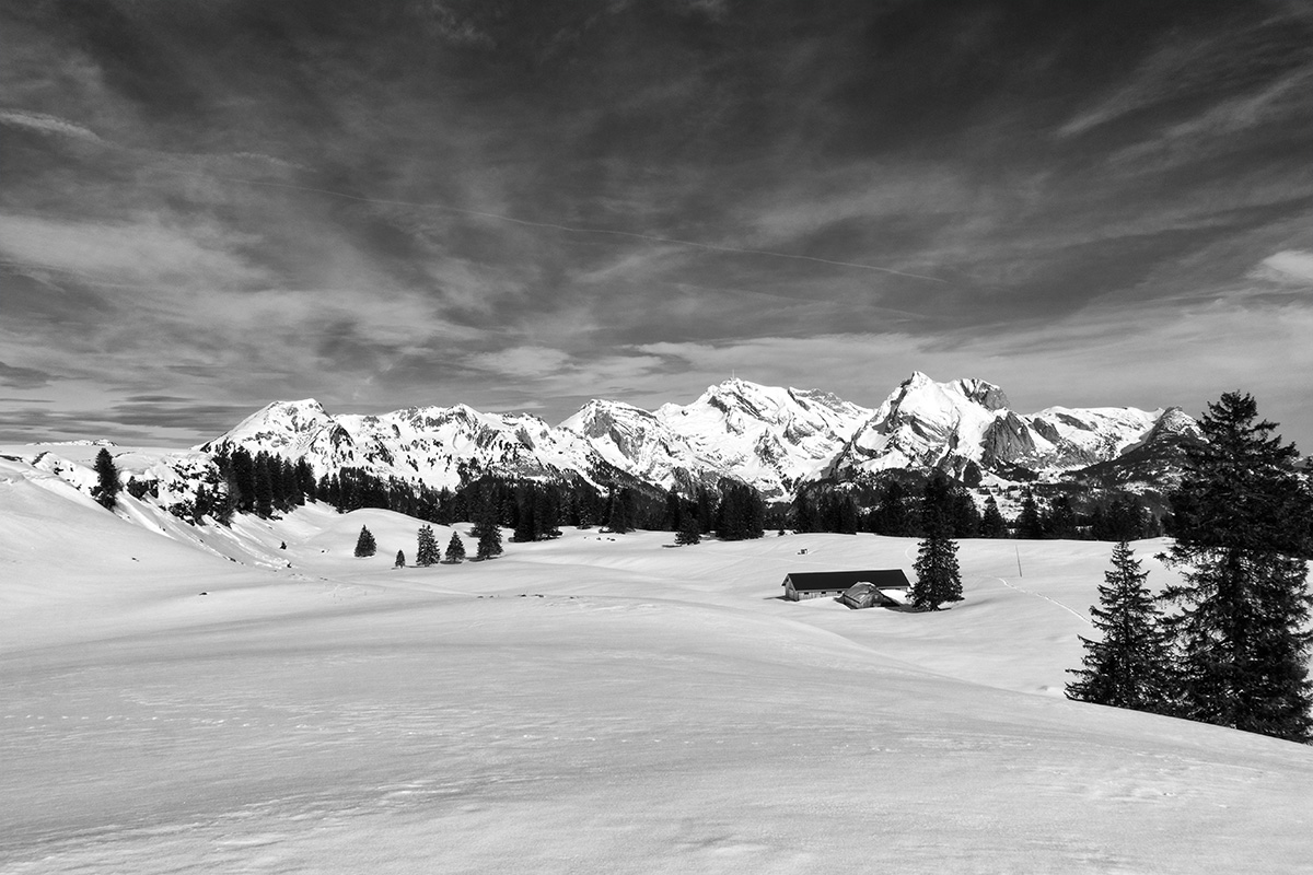 saentis_bw