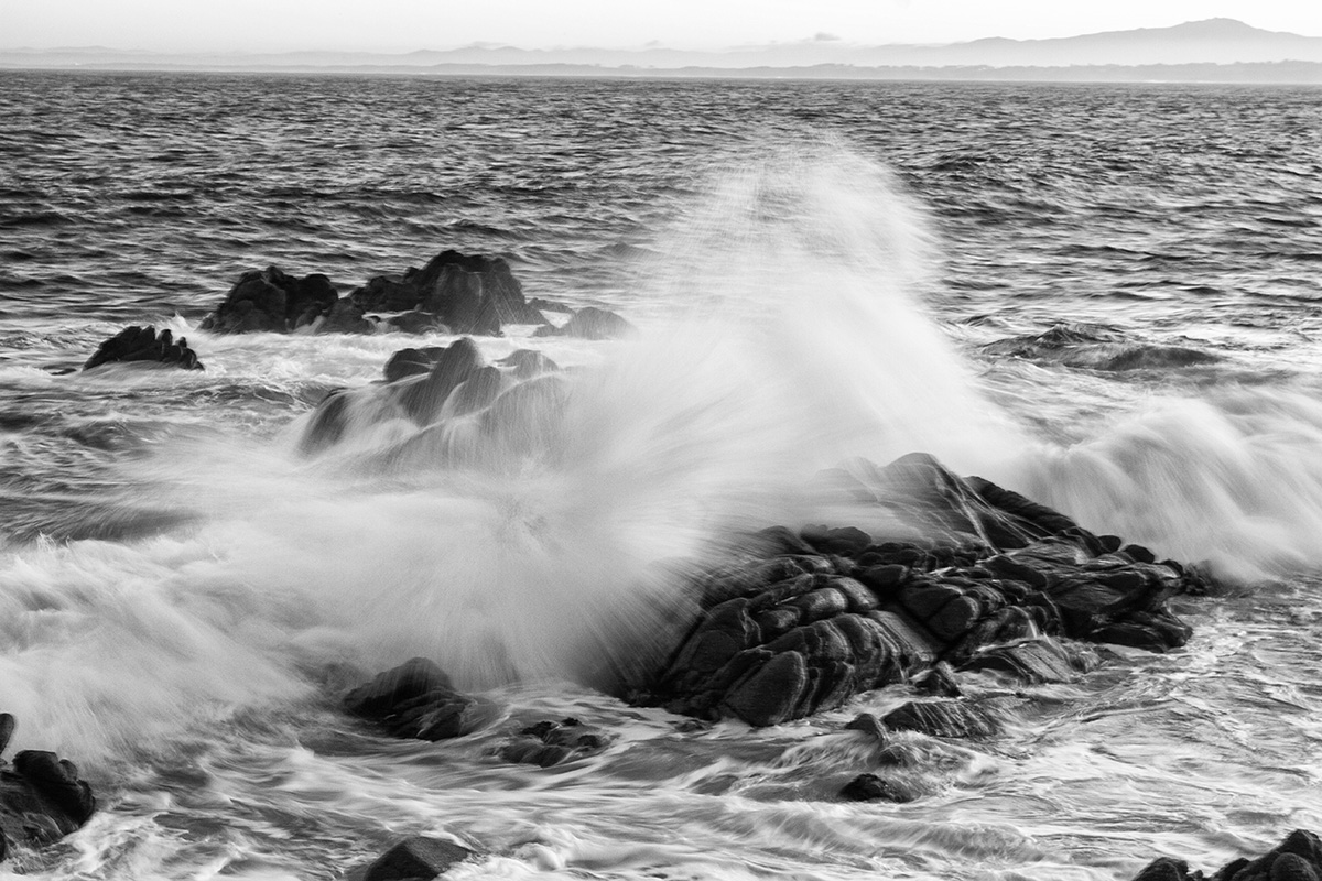 pacific_grove_17 bw