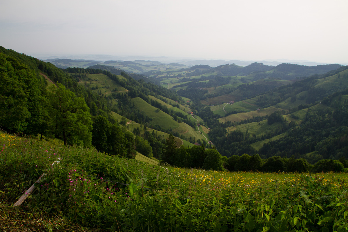 schnebelhorn_11