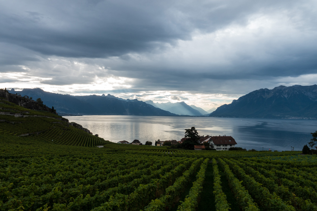 Early Autumn in Lavaux
